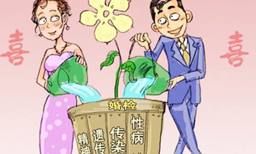 婚前体检必须做吗